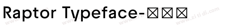 Raptor Typeface字体转换